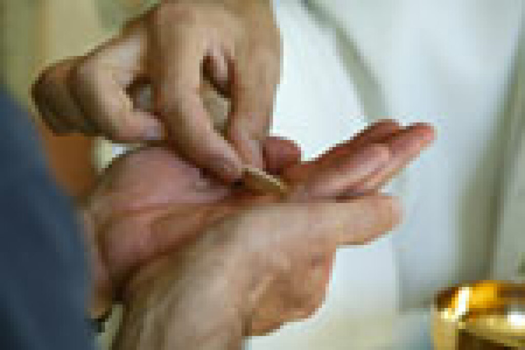 Extraordinary Ministers of Holy Communion (EMHC)